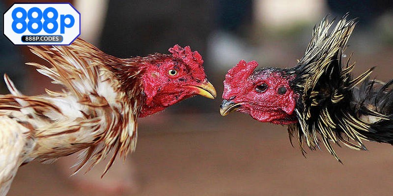 Trải nghiệm chân thực nhờ công nghệ trực tiếp full HD