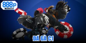 Đá Gà C1