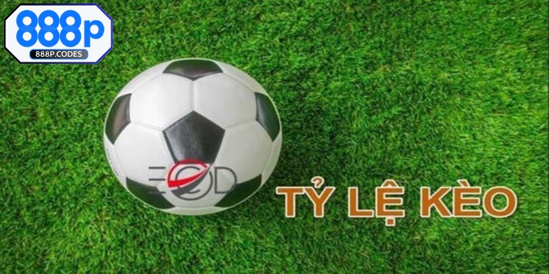Tỷ lệ kèo nhà cái 88 chi tiết dành cho người mới